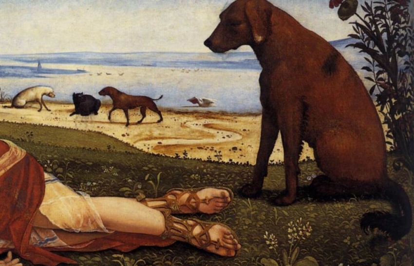 piero_di_cosimo_morte_di_procri_03